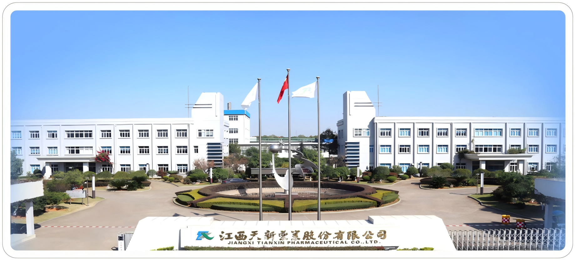 江西天新药业：维生素行业数字化经营之道