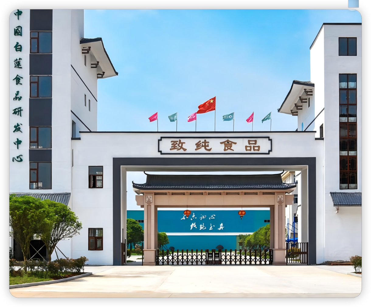 致纯食品：专注于健康休闲食品的研发、生产与销售
