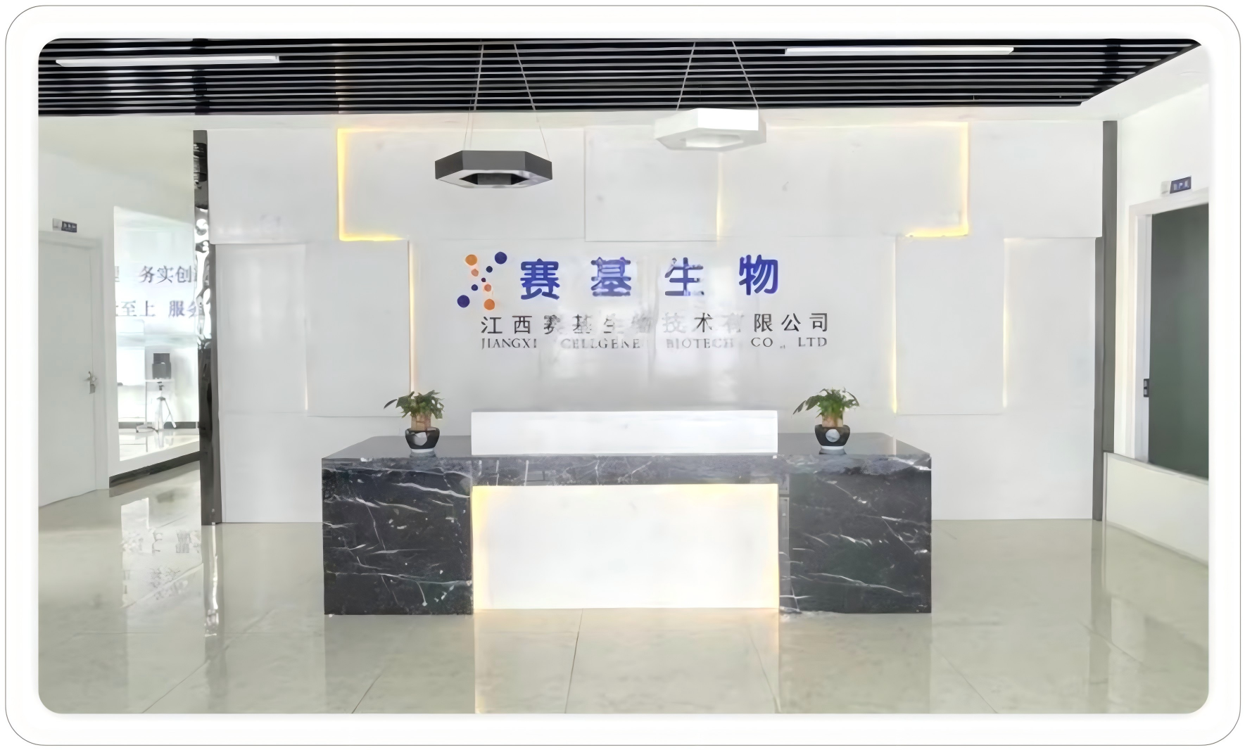 赛基生物：聚焦流式免疫精准诊断未来