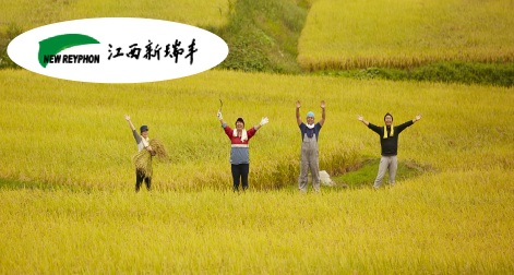 新瑞丰-百年基业，信息为本，以农为先